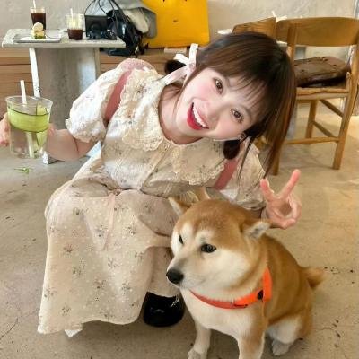 我的狗蚪蚪
